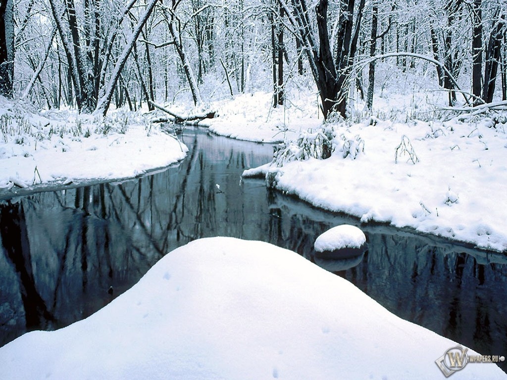 Зимний пруд в лесу 1024x768