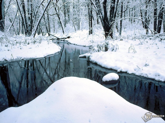 Зимний пруд в лесу