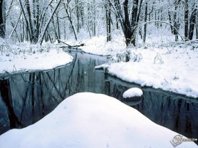 Обои Зимний пруд в лесу: Зима, Лес, Деревья, Пруд, Зима