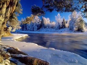 Обои Ледяная речка: Зима, Лёд, Иней, Холод, Зима