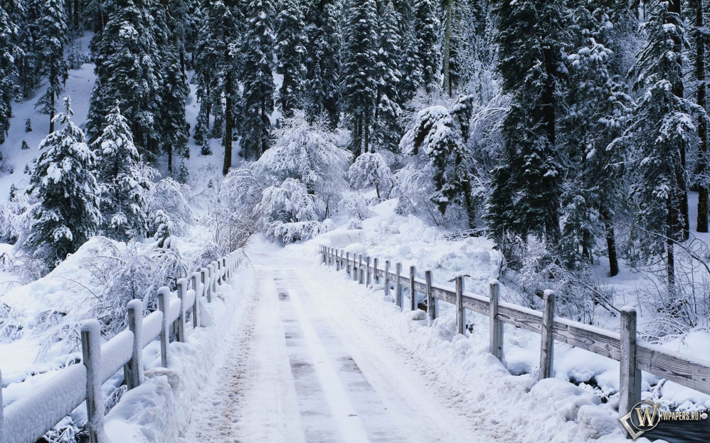 Snowy bridge 1440x900
