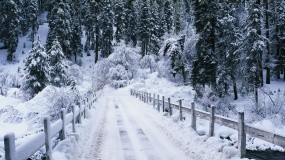 Обои Snowy bridge: Зима, Снег, Лес, Мост, Ели, Зима