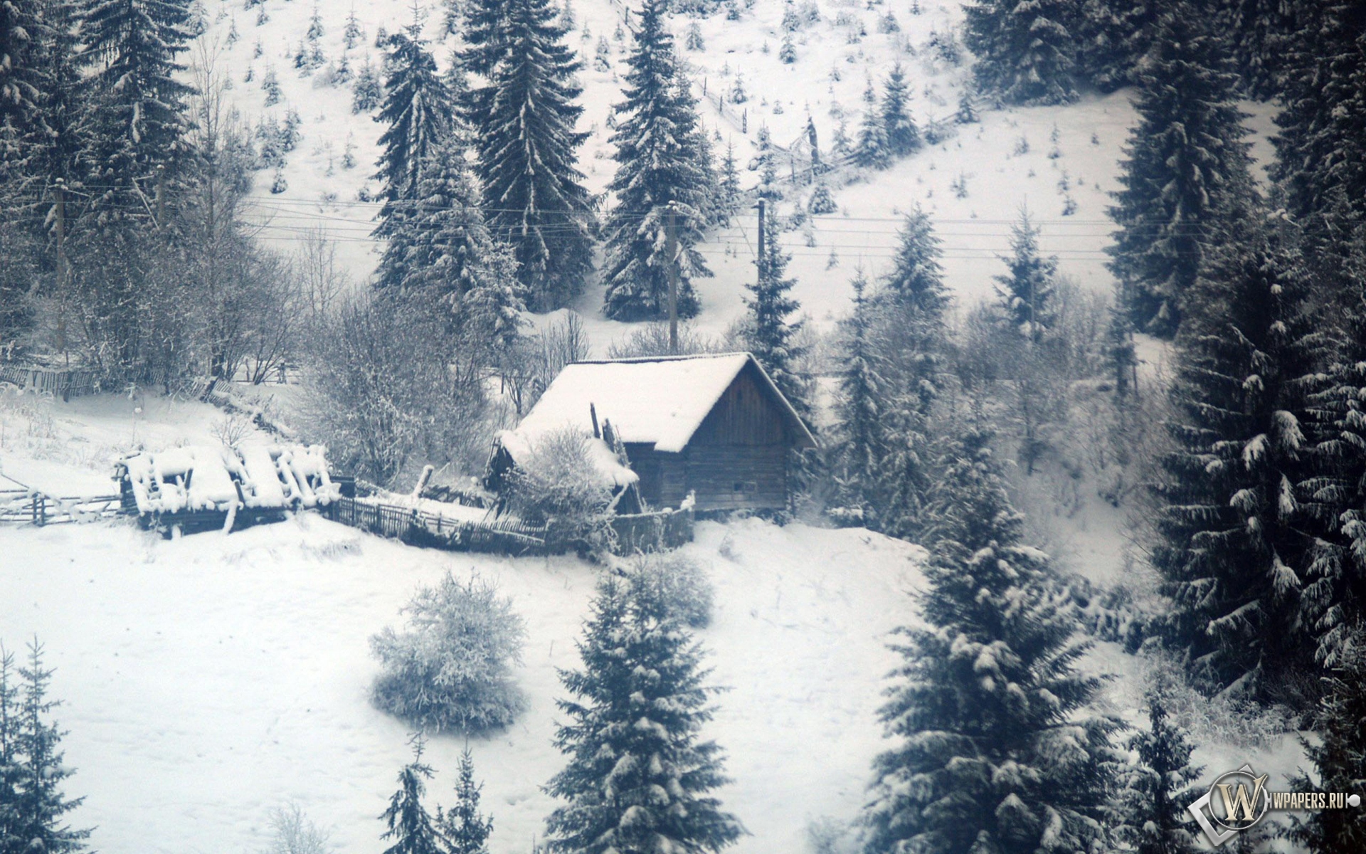 Домик в зимнем лесу 1920x1200