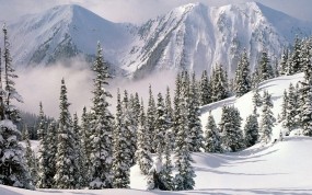Обои Сход лавины: Снег, Лес, Лавина, Зима