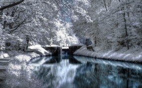 Обои Зимняя речка: Зима, Вода, Снег, Деревья, Тропа, Ветки, Зима