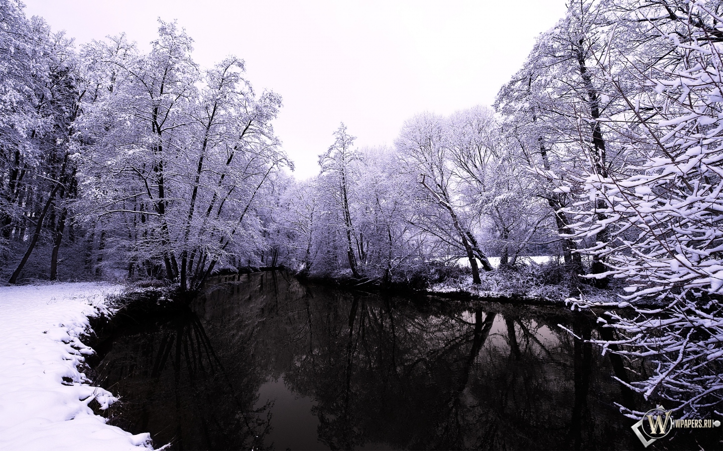 Тёмное озеро зимой 1440x900