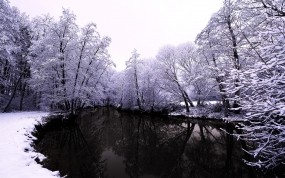 Тёмное озеро зимой