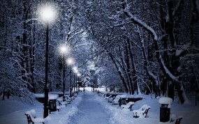 Обои Аллея зимой: Фонари, Зима, Снег, Деревья, Аллея, Ветки, Зима