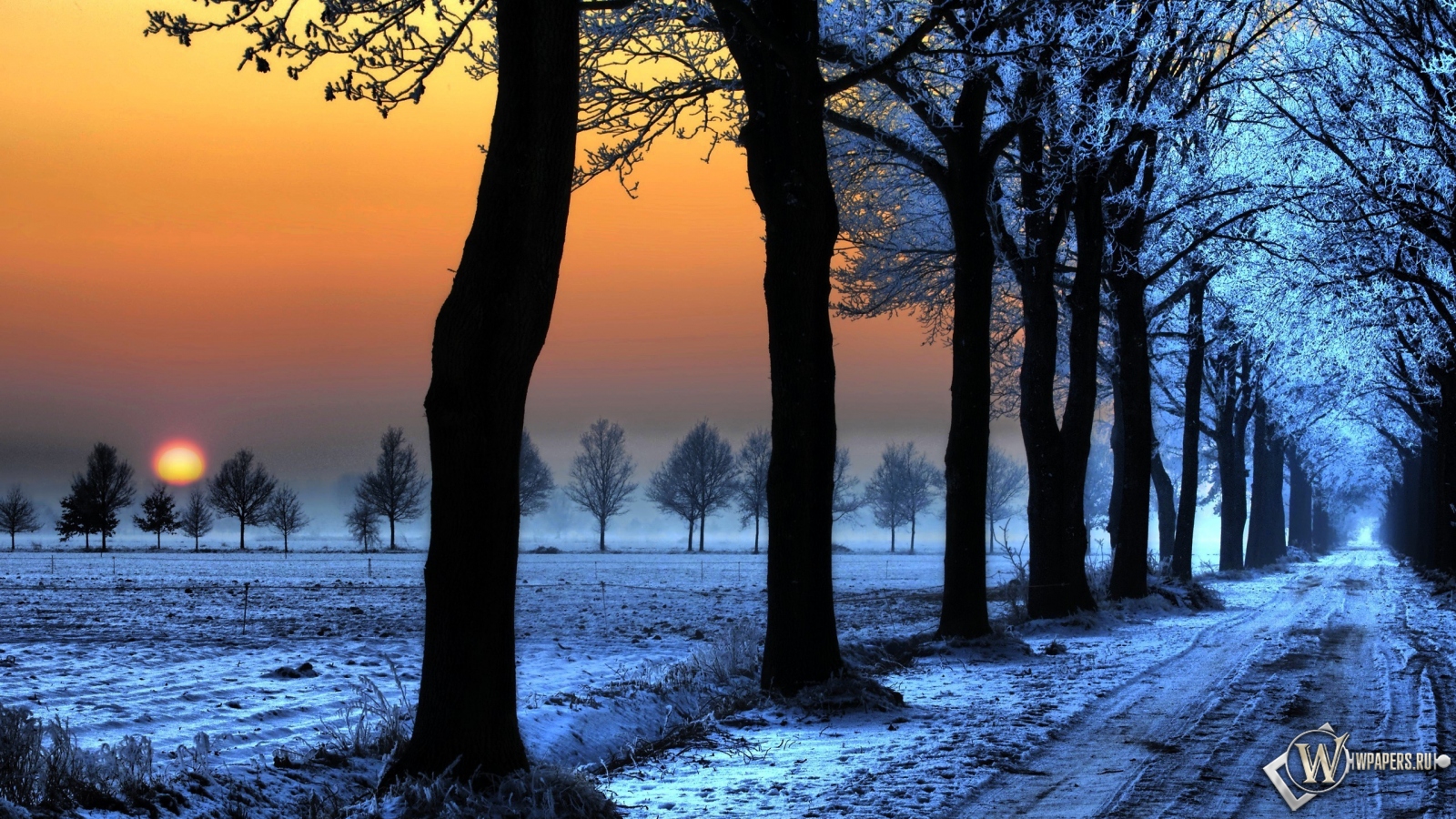 Зимняя аллея на закате 1600x900