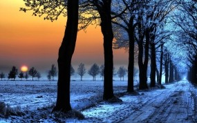 Обои Зимняя аллея на закате: Свет, Снег, Деревья, Солнце, Закат, Аллея, Синий, Зима