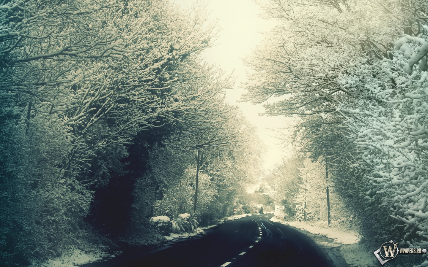Зимняя дорога 1440x900