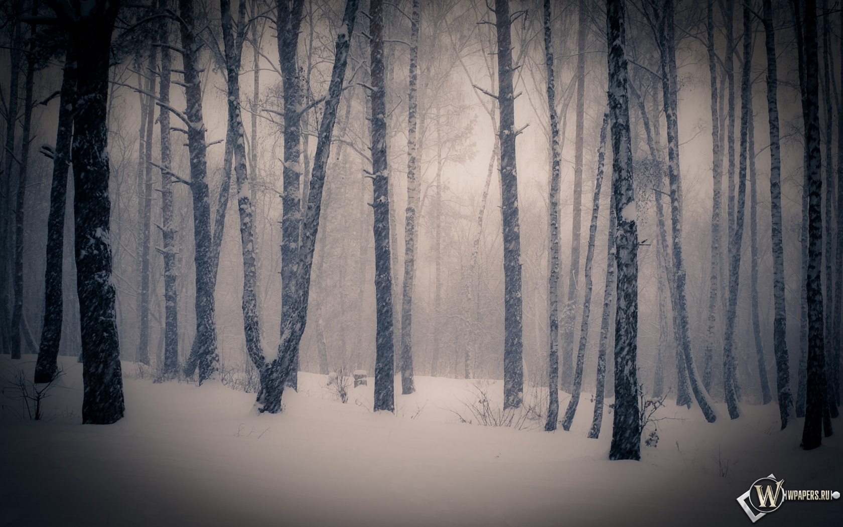 Тишина в зимнем лесу 1680x1050