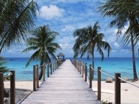 Обои Полинезия  туамоту: Пальмы, Пляж, Пристань, Полинезия, Вода и небо