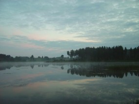 Обои Вечернее озеро: Деревья, Озеро, Вода и небо