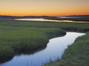 Обои Восход на ручье Кейп Код, Массачусетс: Трава, Утро, Ручей, Вода и небо
