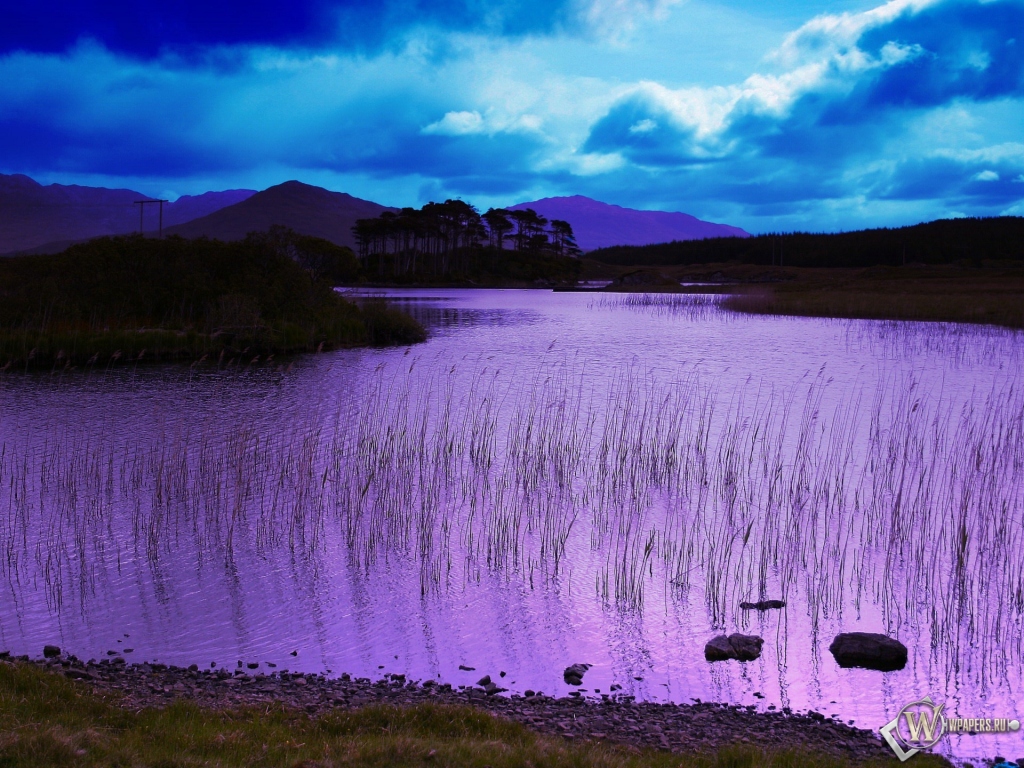 Фиолетовое озеро 1024x768