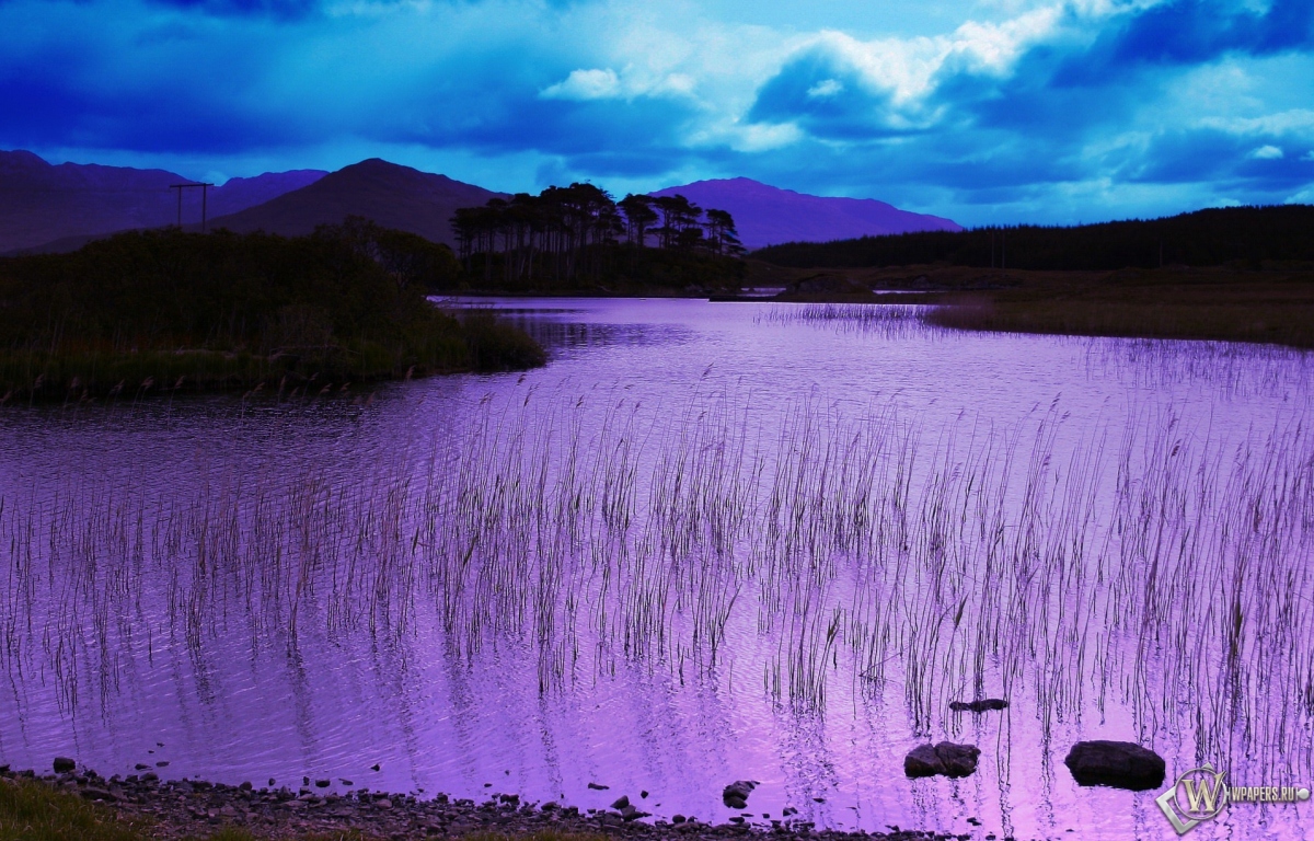 Фиолетовое озеро 1200x768