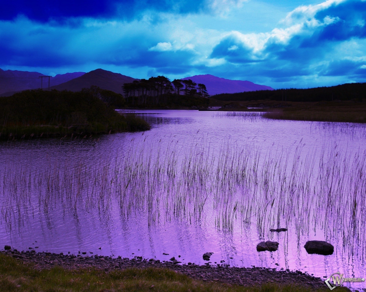 Фиолетовое озеро 1280x1024
