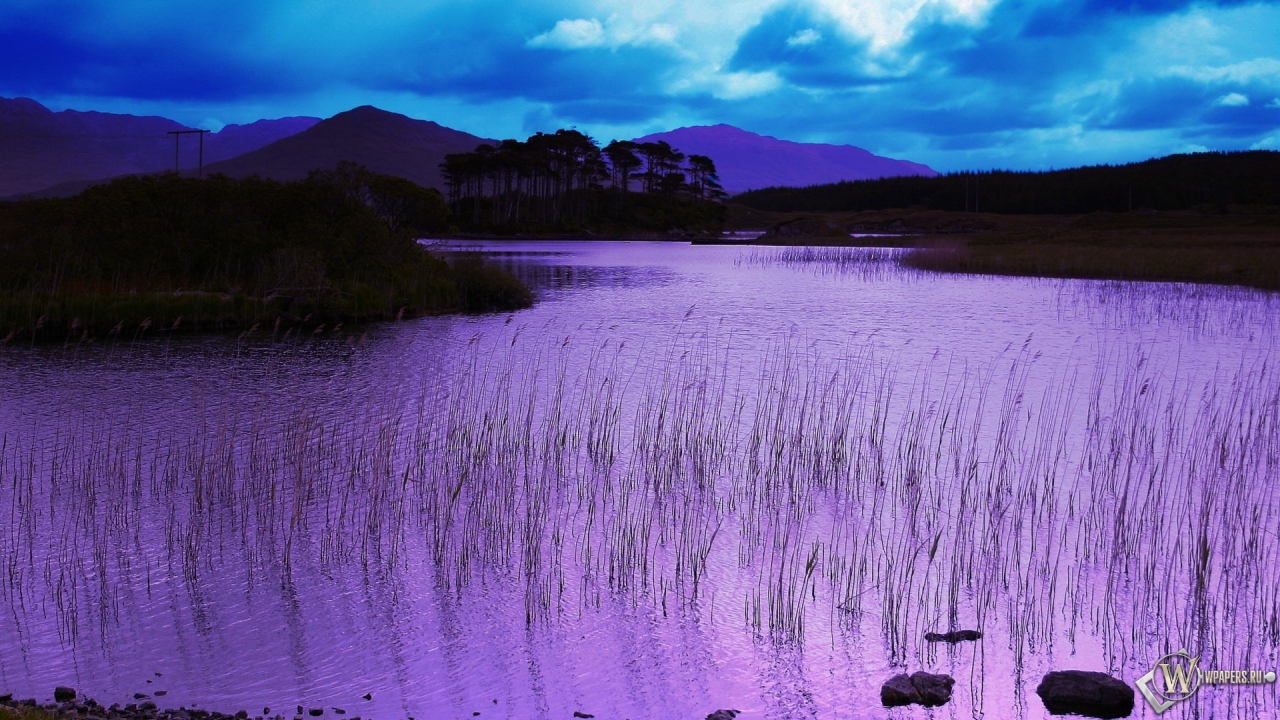 Фиолетовое озеро 1280x720