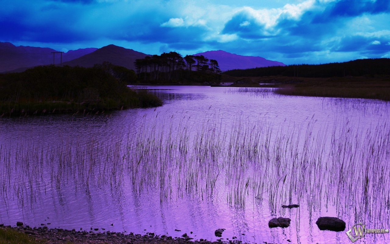 Фиолетовое озеро 1280x800