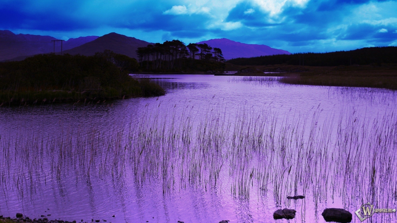 Фиолетовое озеро 1366x768