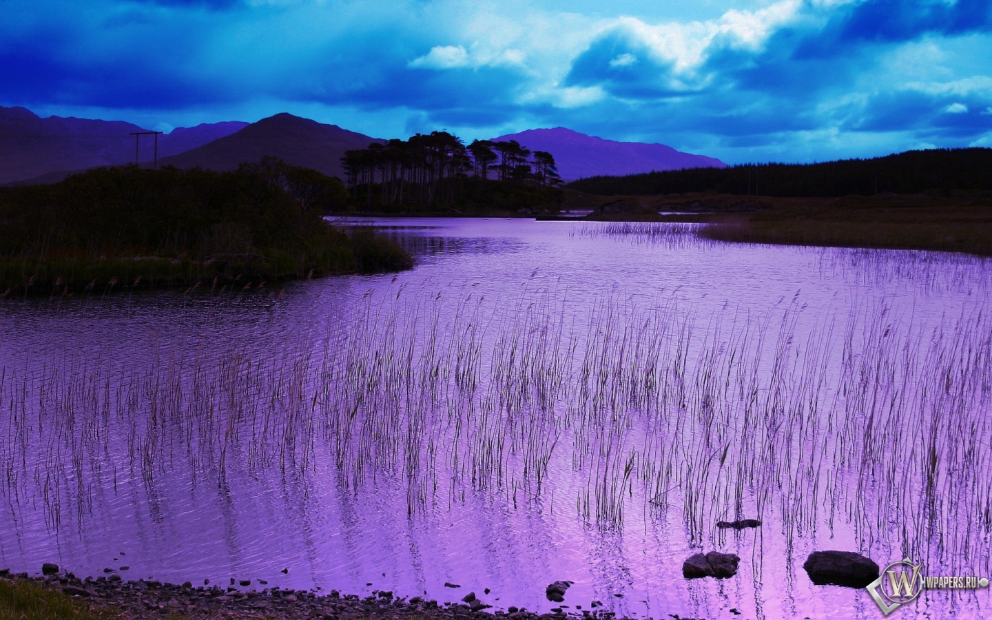 Фиолетовое озеро 1440x900