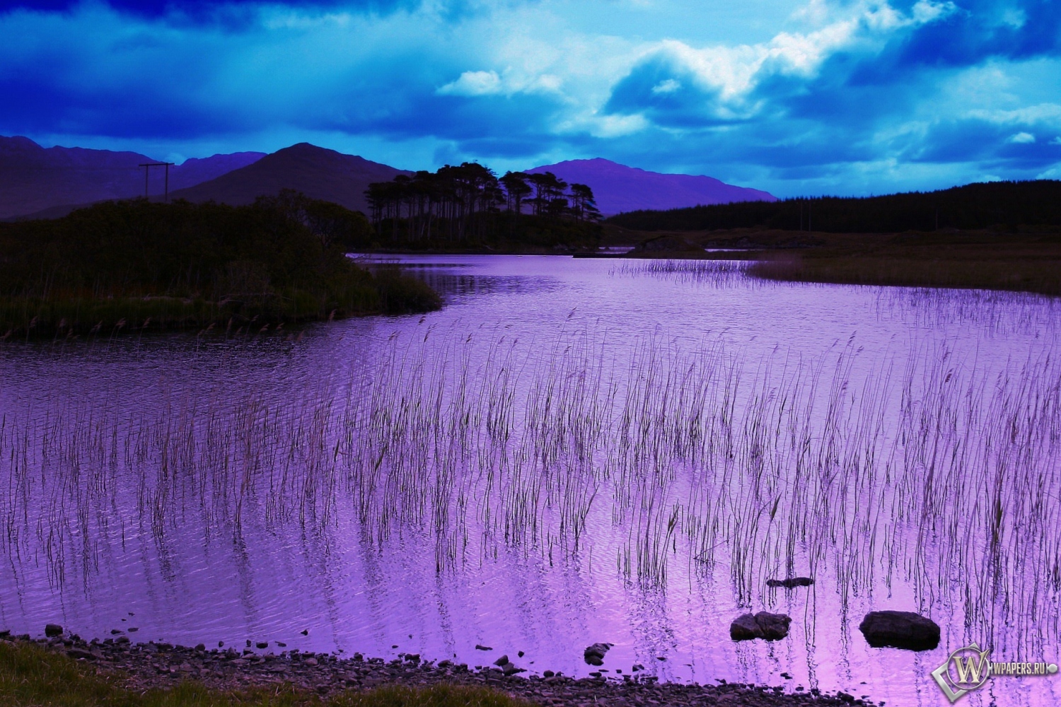 Фиолетовое озеро 1500x1000