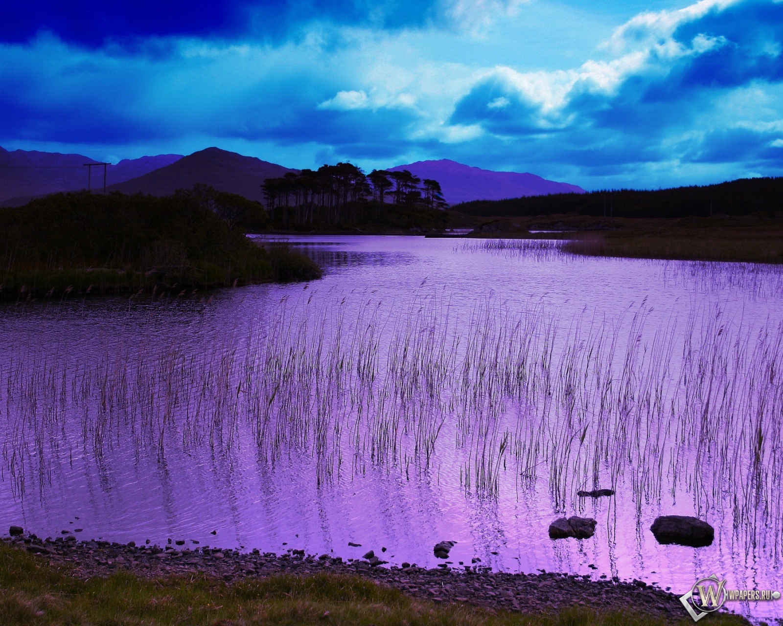 Фиолетовое озеро 1600x1280