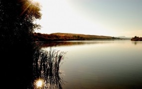 Обои Рассвет на озере: Озеро, Рассвет, Дерево, Куст, Вода и небо