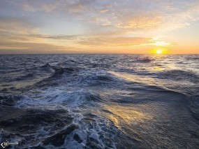 Обои Восход на море: , Вода и небо