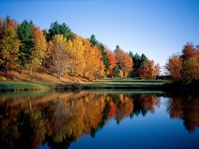Обои Отражение леса в речной глади: Река, Отражение, Лес, Небо, Отражение в воде, Вода и небо