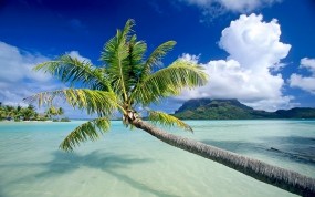 Обои Bora Bora: Пляж, Вода, Песок, Остров, Пальма, Небо, Вода и небо